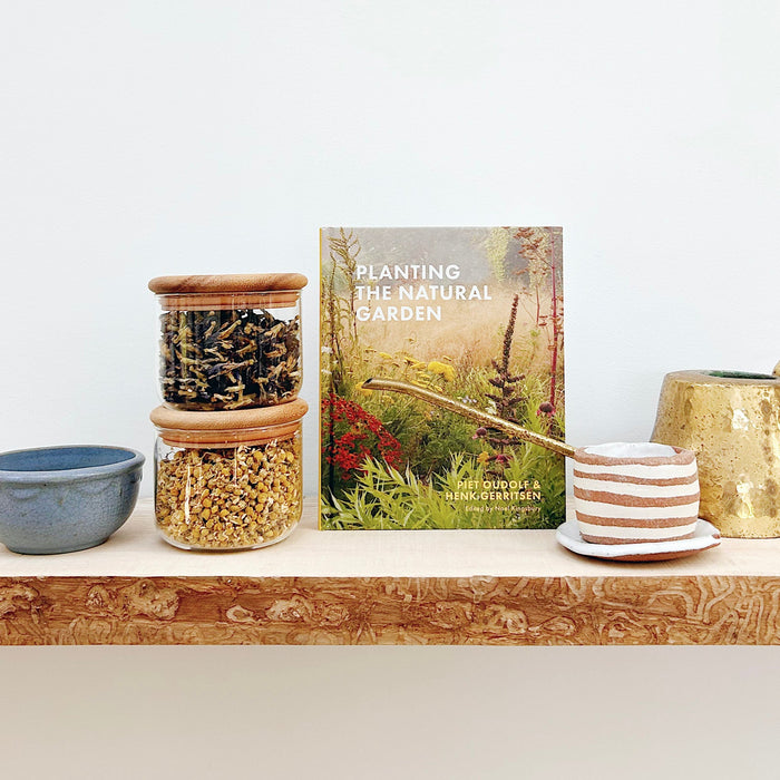 Glass Tea Canister - Wood Top