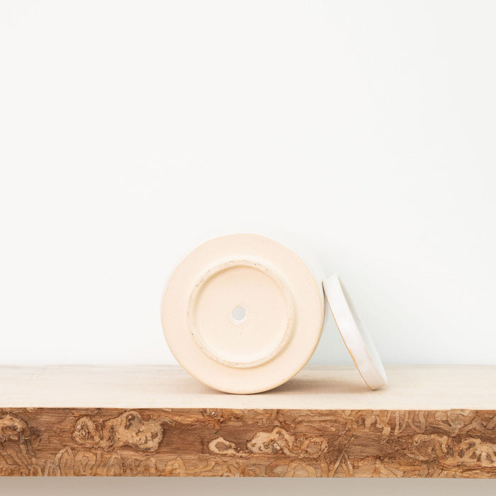 Kiln Room 4" Ceramic Planter - Solid Matte White